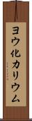ヨウ化カリウム Scroll