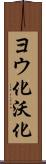 ヨウ化 Scroll