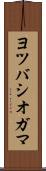 ヨツバシオガマ Scroll
