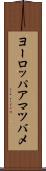 ヨーロッパアマツバメ Scroll