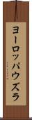 ヨーロッパウズラ Scroll