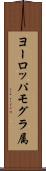 ヨーロッパモグラ属 Scroll