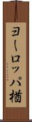 ヨーロッパ楢 Scroll