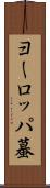ヨーロッパ蟇 Scroll