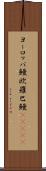 ヨーロッパ鰻;欧羅巴鰻(ateji) Scroll