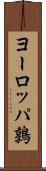 ヨーロッパ鶉 Scroll