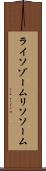 ライソゾーム Scroll