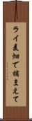 ライ麦畑で捕まえて Scroll