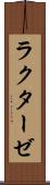 ラクターゼ Scroll