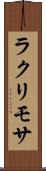 ラクリモサ Scroll