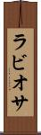 ラビオサ Scroll
