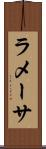 ラメーサ Scroll