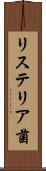 リステリア菌 Scroll