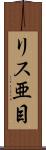 リス亜目 Scroll