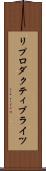 リプロダクティブライツ Scroll