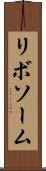 リボソーム Scroll