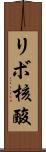 リボ核酸 Scroll