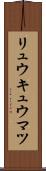 リュウキュウマツ Scroll