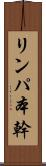 リンパ本幹 Scroll