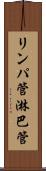 リンパ管 Scroll