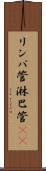 リンパ管 Scroll