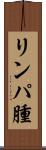 リンパ腫 Scroll