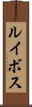 ルイボス Scroll