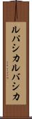 ルパシカ Scroll
