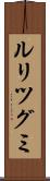 ルリツグミ Scroll