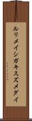 ルリメイシガキスズメダイ Scroll
