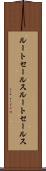 ルートセールス Scroll