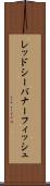 レッドシー・バナーフィッシュ Scroll