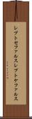 レプトセファルス Scroll