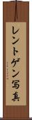 レントゲン写真 Scroll