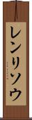 レンリソウ Scroll