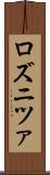 ロズニツァ Scroll