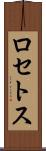 ロセトス Scroll
