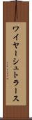ワイヤーシュトラース Scroll