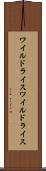 ワイルドライス Scroll