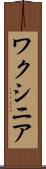 ワクシニア Scroll