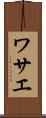 ワサエ Scroll