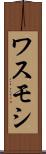 ワスモシ Scroll