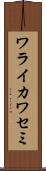 ワライカワセミ Scroll