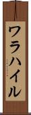 ワラハイル Scroll
