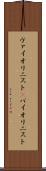 ヴァイオリニスト(P) Scroll