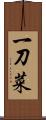 一刀菜 Scroll