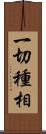 一切種相 Scroll