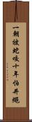 一朝被蛇咬，十年怕井繩 Scroll