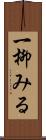 一柳みる Scroll