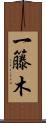 一籐木 Scroll